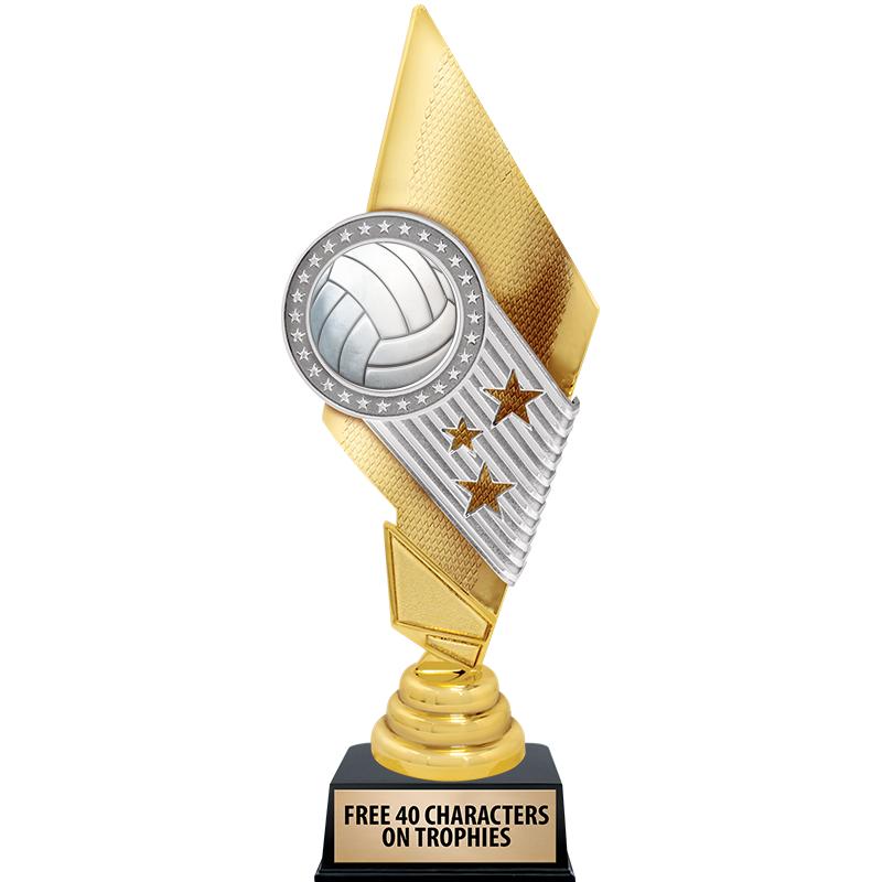 11" CELEBRITY INSERT TROPHY
