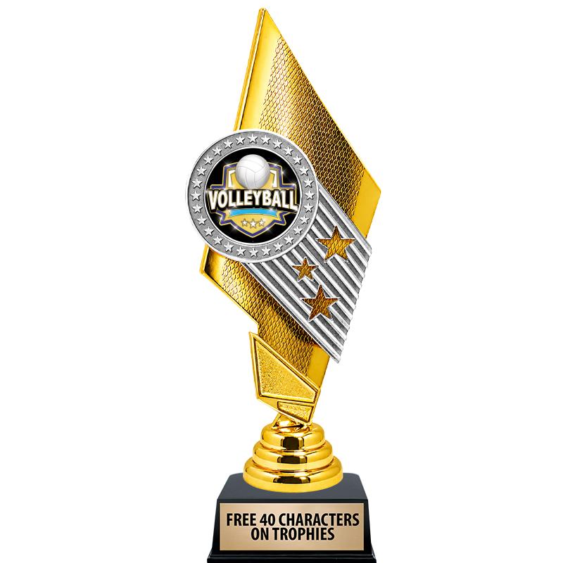 11" CELEBRITY INSERT TROPHY