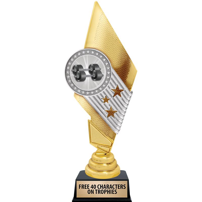 11" CELEBRITY INSERT TROPHY