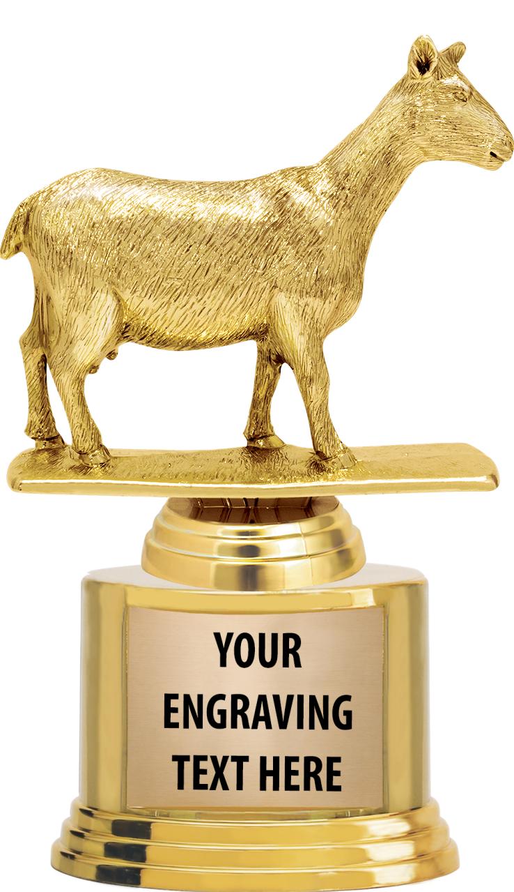 7" TROPHY ON ROUND GOLD BASE