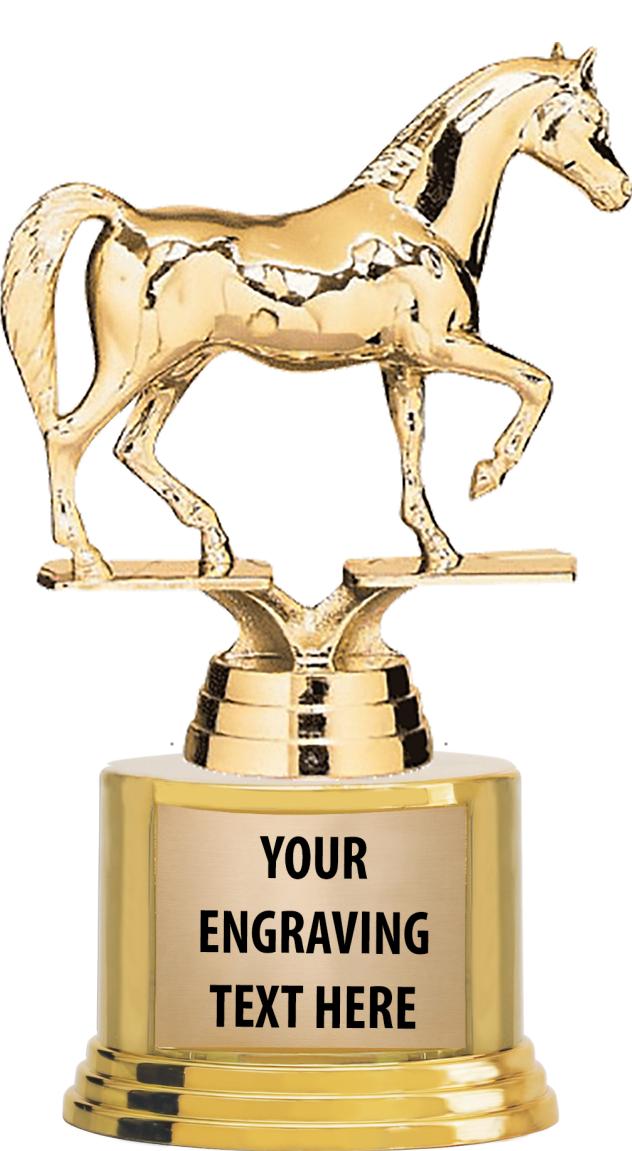 7" TROPHY ON ROUND GOLD BASE