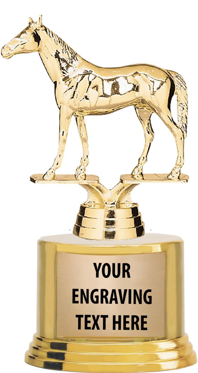 7" TROPHY ON ROUND GOLD BASE