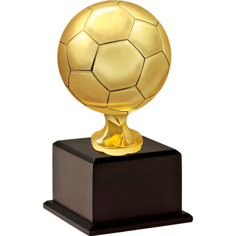 Soccer Trophies 