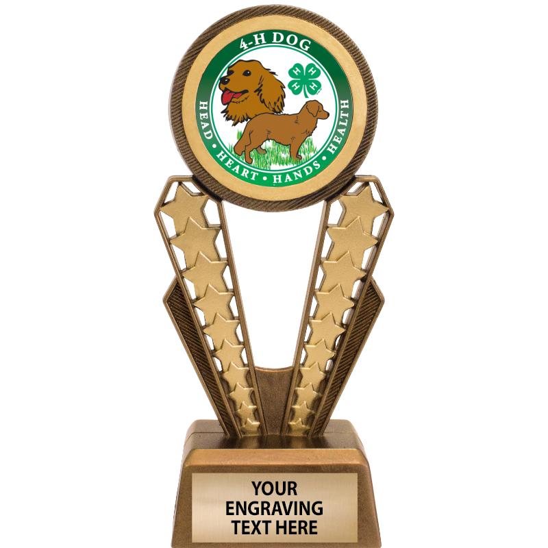 7" MAGIX INSERT TROPHY