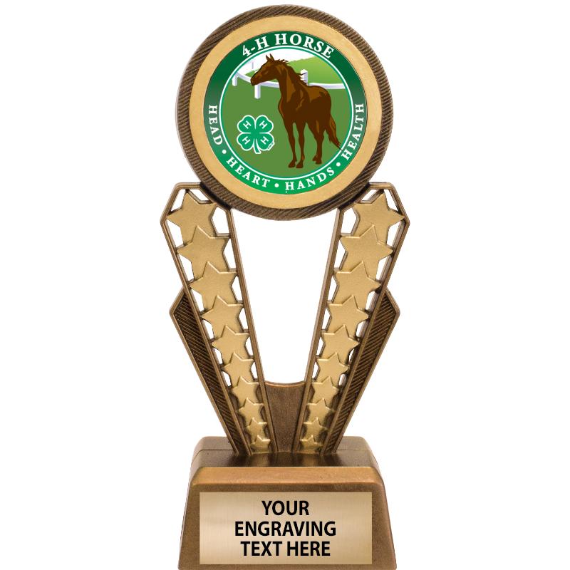7" MAGIX INSERT TROPHY
