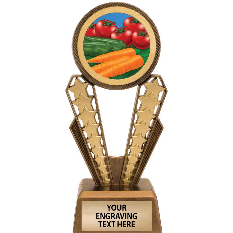 7" MAGIX INSERT TROPHY