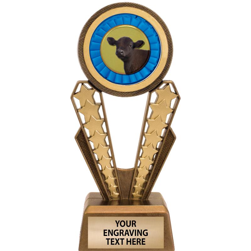 7" MAGIX INSERT TROPHY