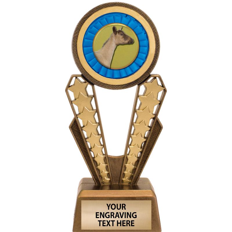 7" MAGIX INSERT TROPHY