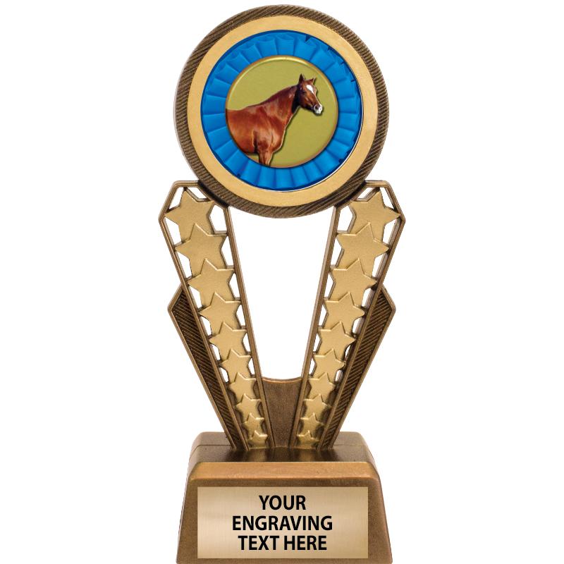 7" MAGIX INSERT TROPHY