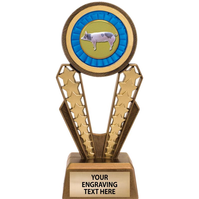 7" MAGIX INSERT TROPHY