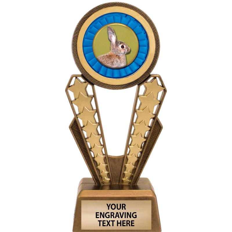 7" MAGIX INSERT TROPHY