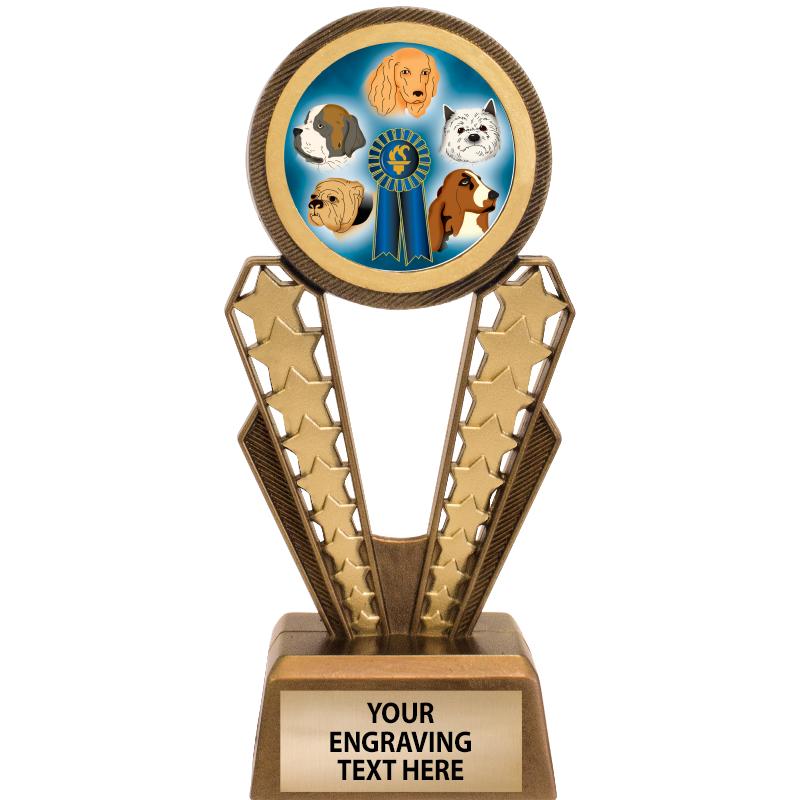 7" MAGIX INSERT TROPHY