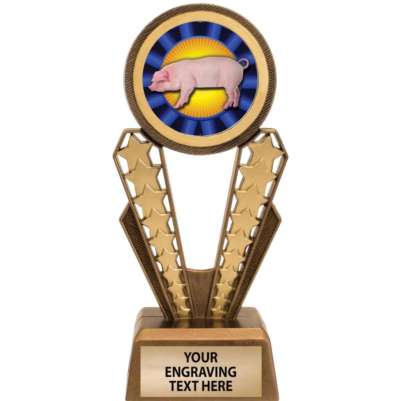 7" MAGIX INSERT TROPHY