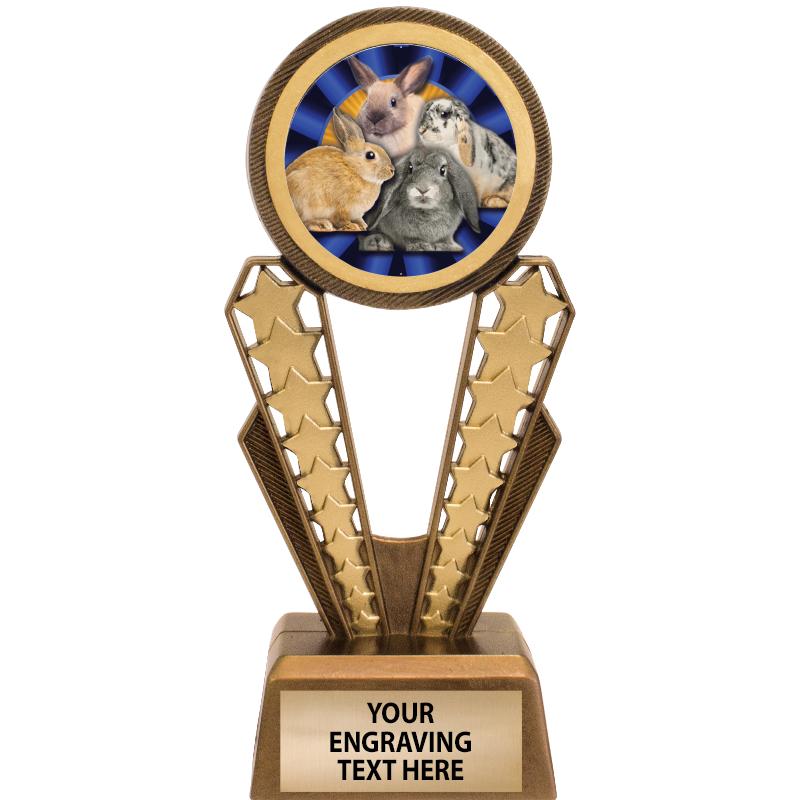 7" MAGIX INSERT TROPHY