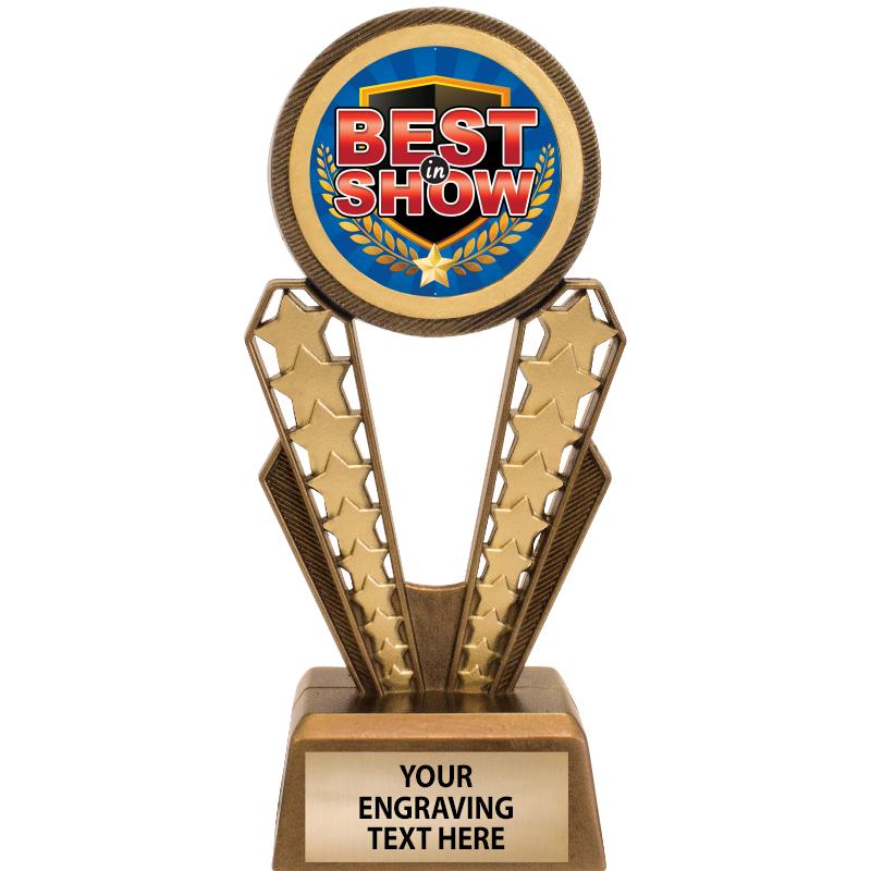 7" MAGIX INSERT TROPHY