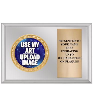 Silver Insert Horizontal Plaques