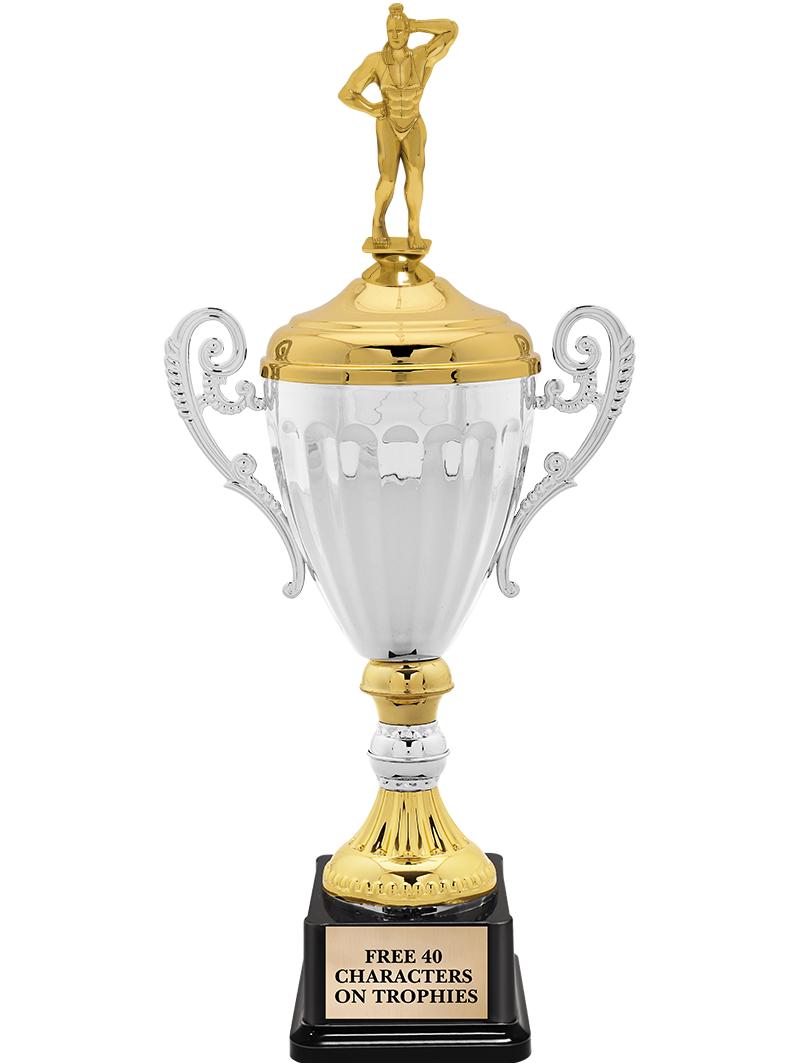 15.82" SV MTL ACC CP TRP W FIG