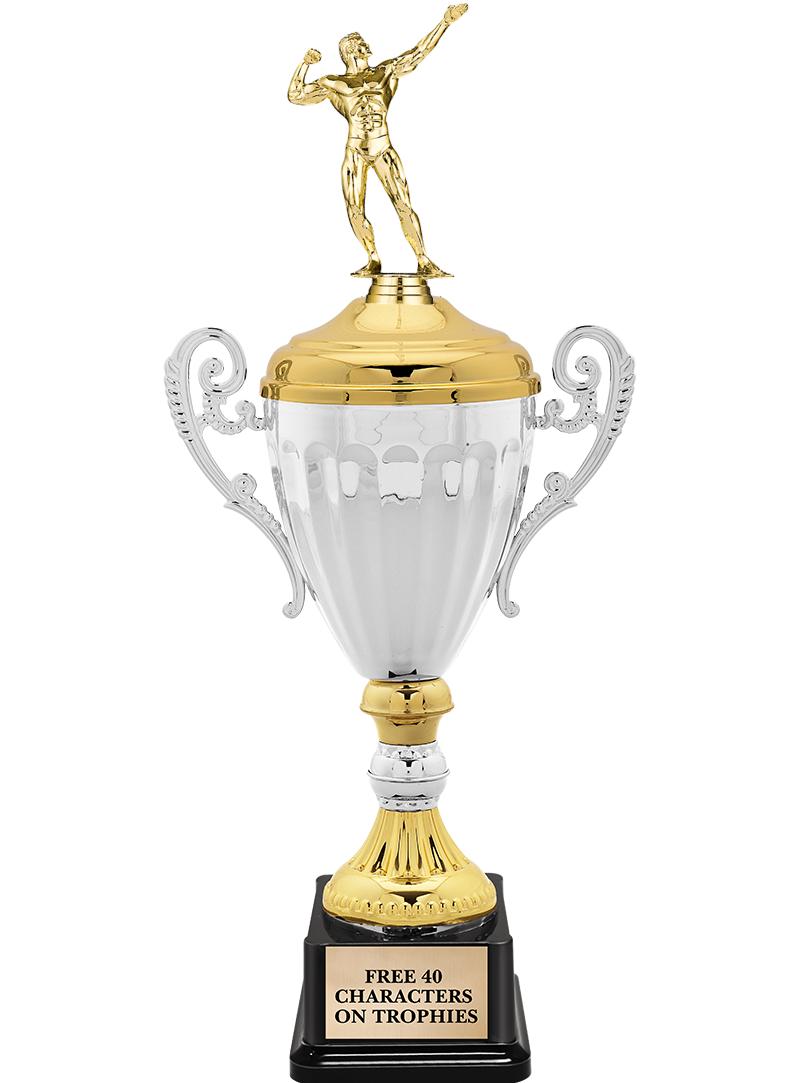 15.82" SV MTL ACC CP TRP W FIG