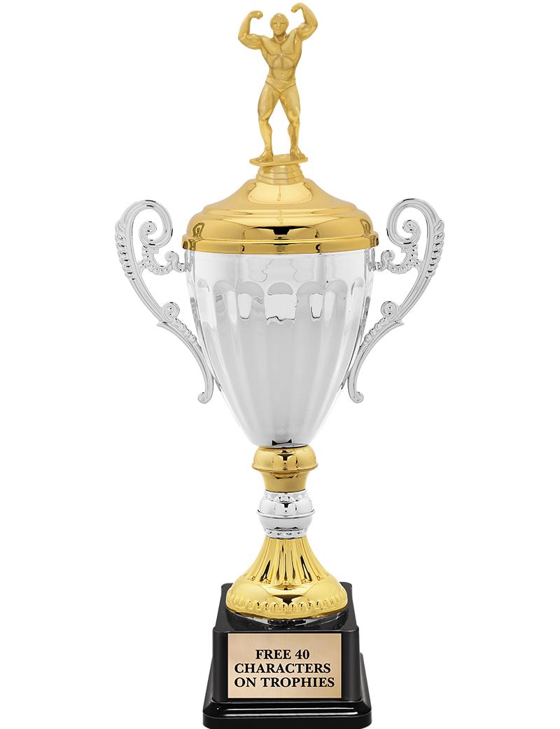 15.82" SV MTL ACC CP TRP W FIG