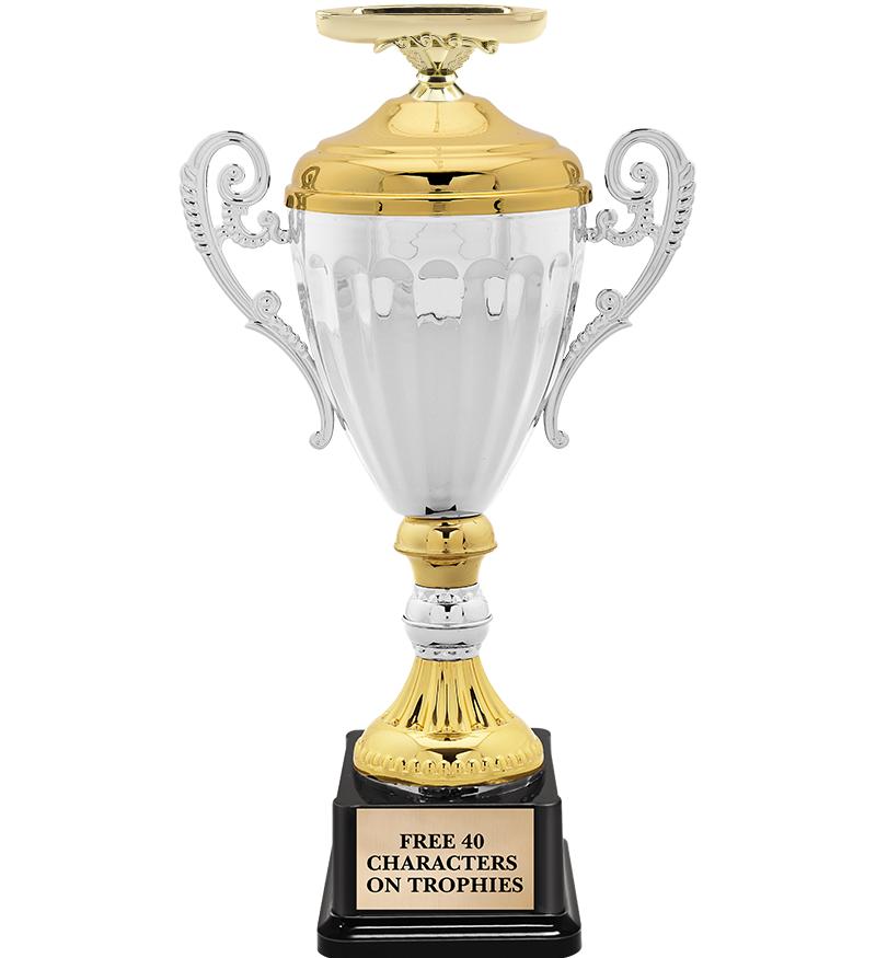 15.82" SV MTL ACC CP TRP W FIG