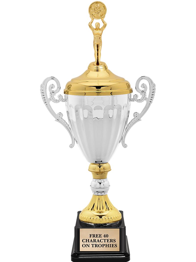 15.82" SV MTL ACC CP TRP W FIG