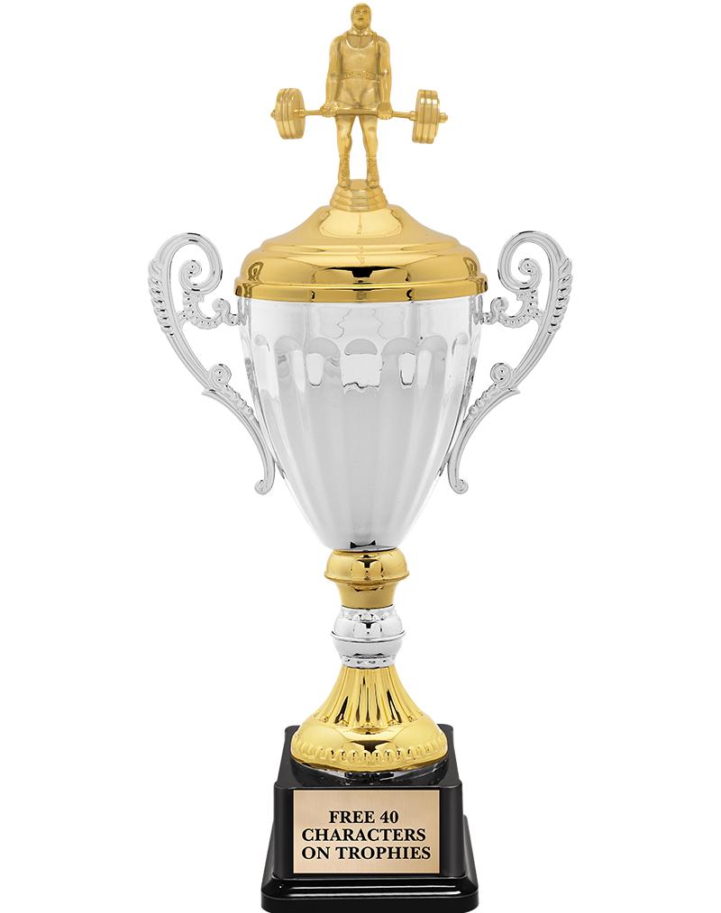 15.82" SV MTL ACC CP TRP W FIG