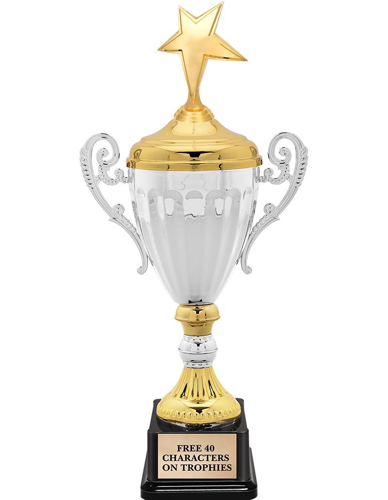 15.82" SV MTL ACC CP TRP W FIG