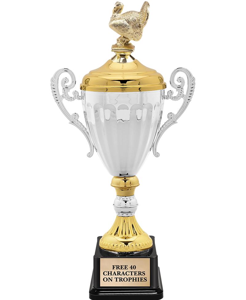 Crown Awards Turkey Bowl Trophy - 6 Gold Star Thanksgiving Football  Trophies Prime