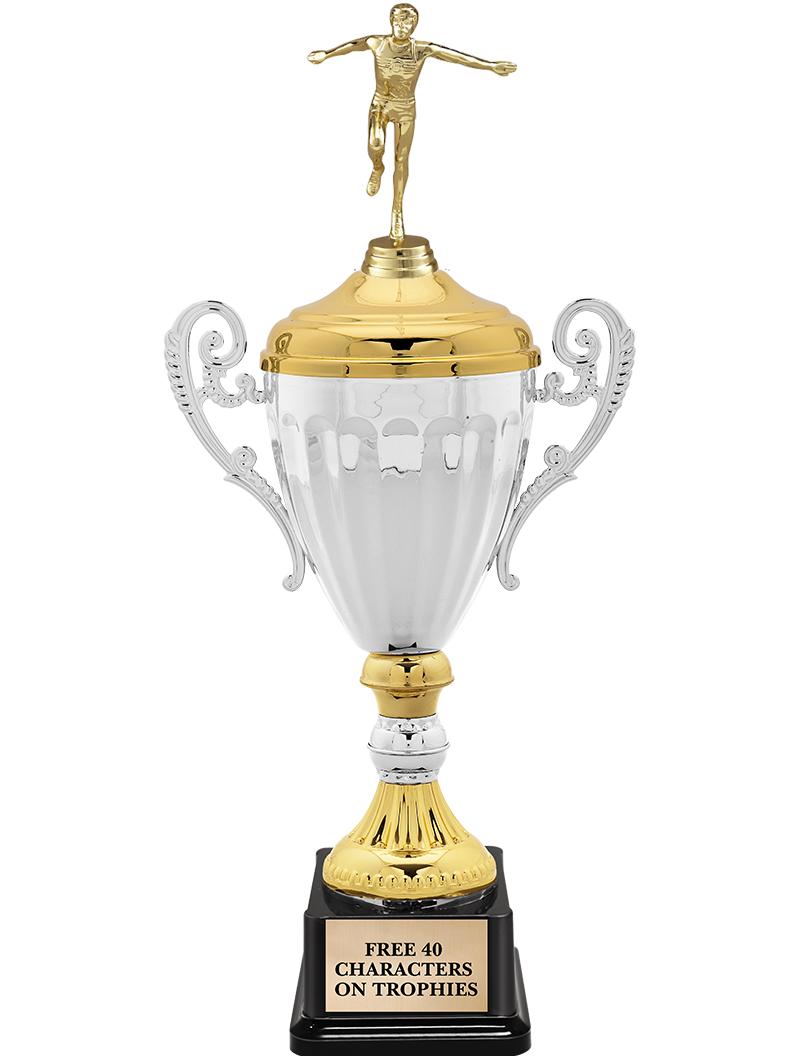 15.82" SV MTL ACC CP TRP W FIG