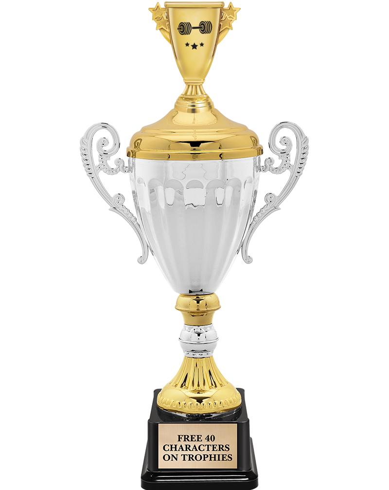 15.82" SV MTL ACC CP TRP W FIG