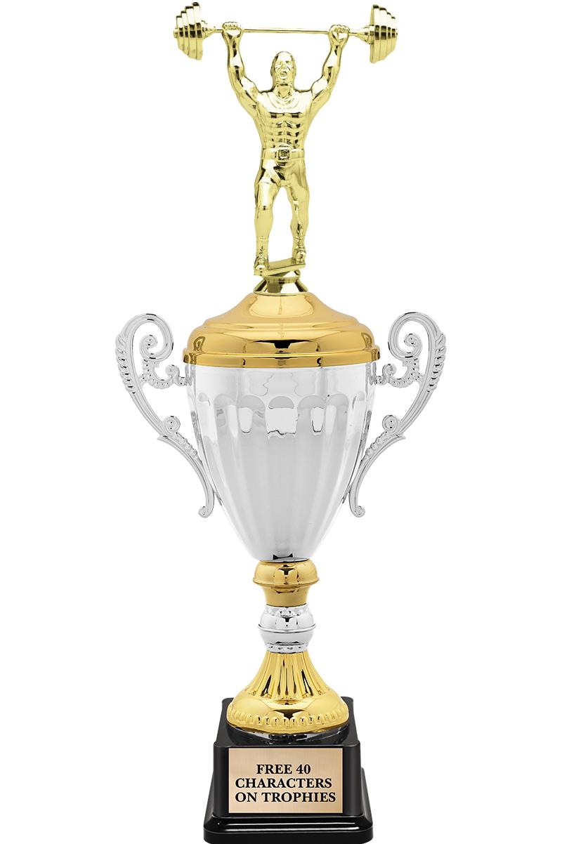 15.82" SV MTL ACC CP TRP W FIG