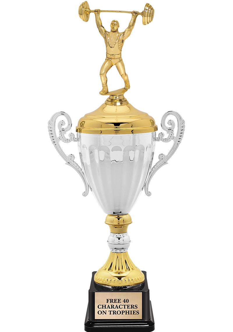 15.82" SV MTL ACC CP TRP W FIG