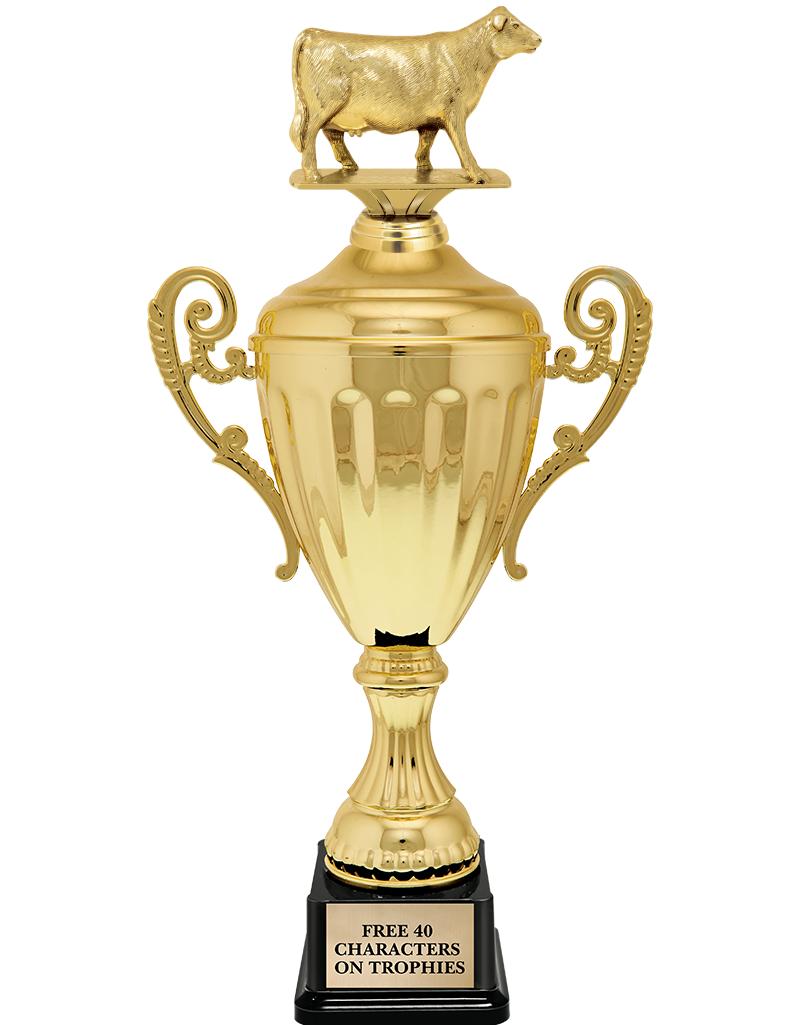 15.43" GD ACCLDE CUP TRP W FIG