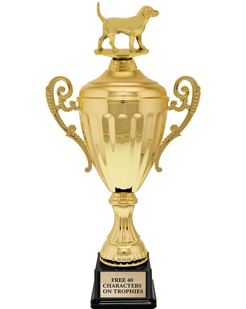 15.43" GD ACCLDE CUP TRP W FIG