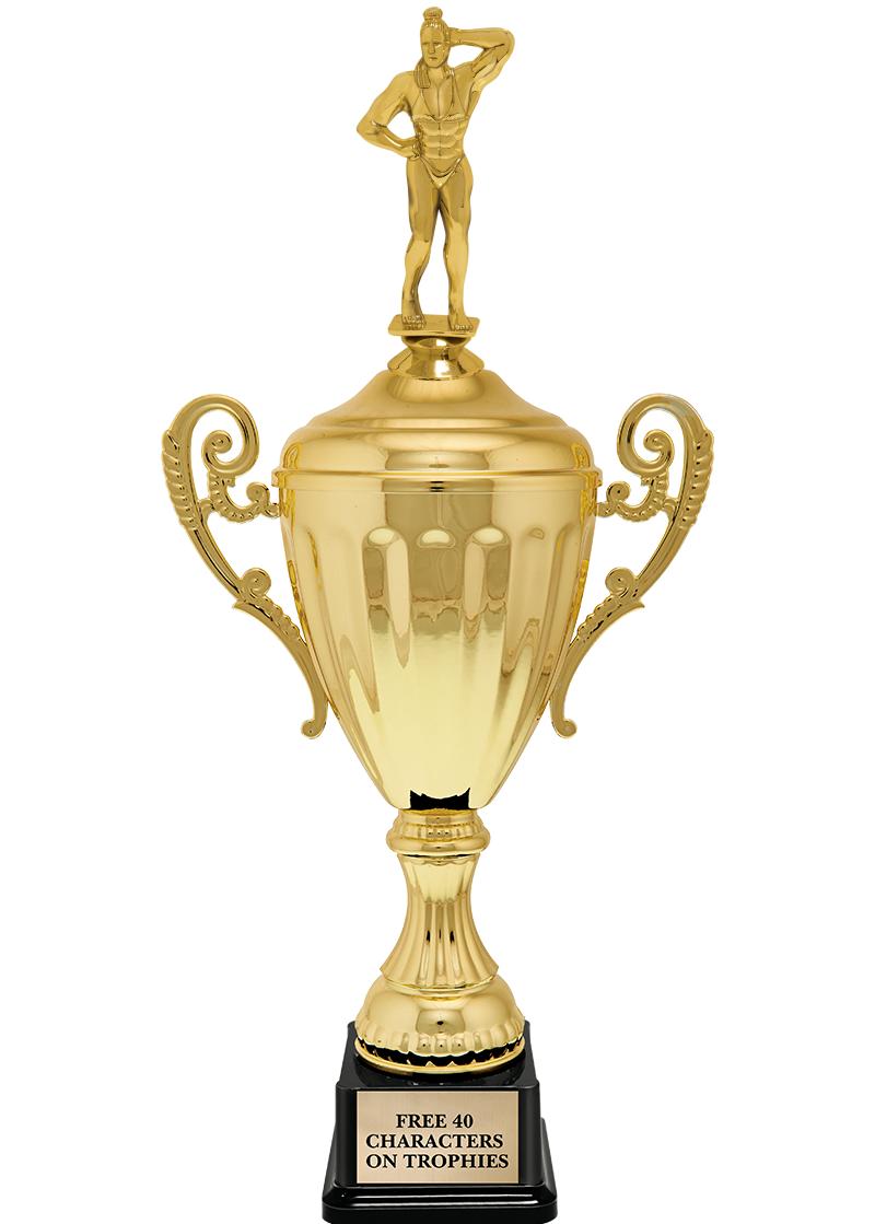 15.43" GD ACCLDE CUP TRP W FIG