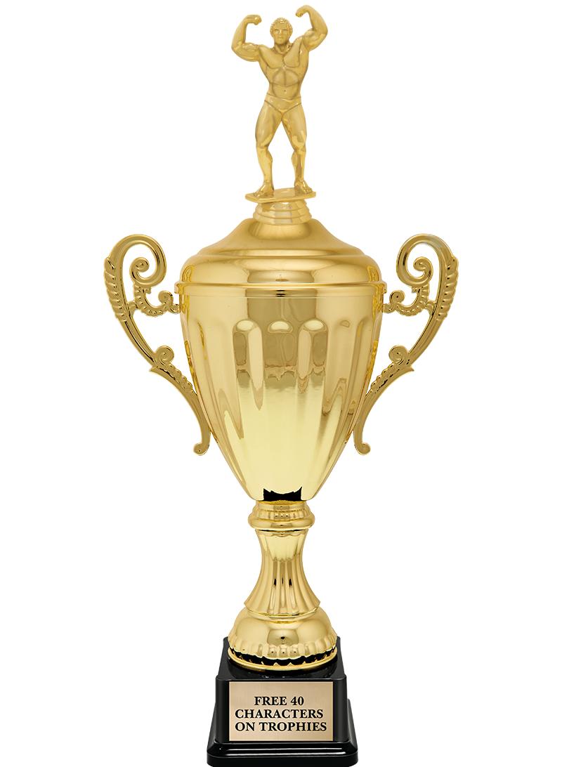 15.43" GD ACCLDE CUP TRP W FIG