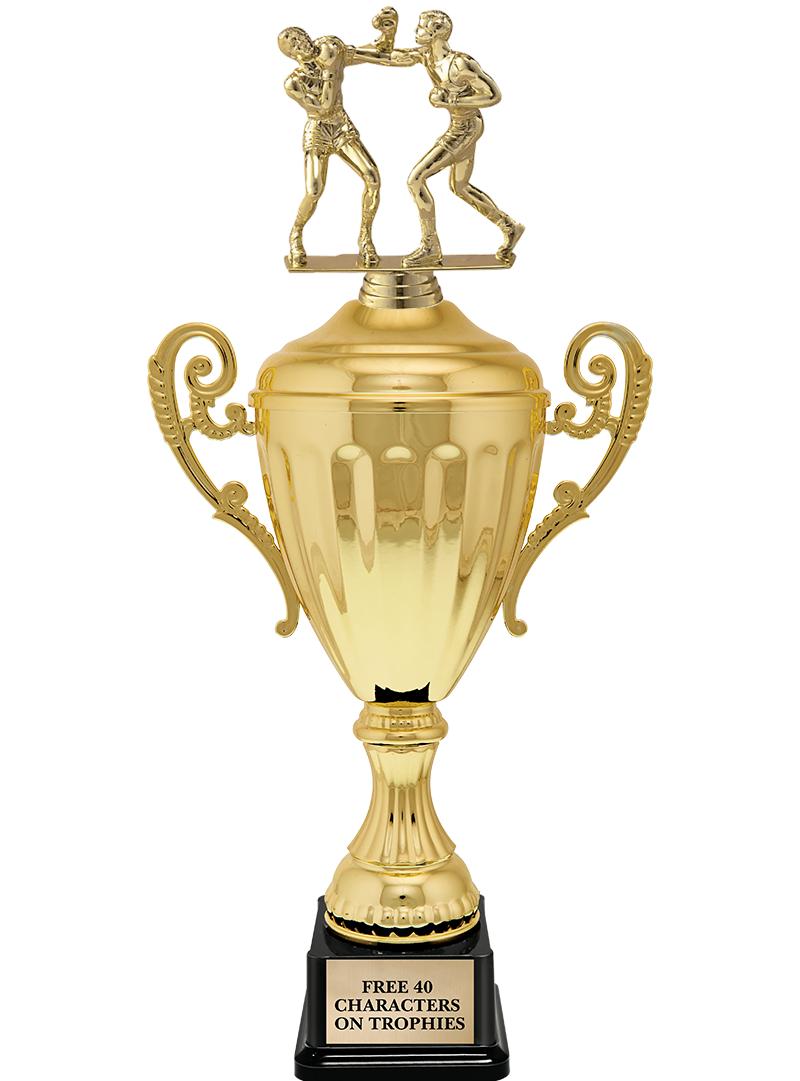 15.43" GD ACCLDE CUP TRP W FIG