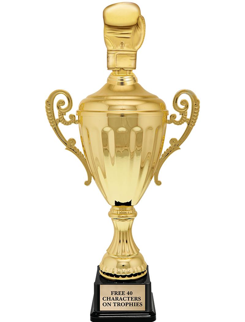 15.43" GD ACCLDE CUP TRP W FIG