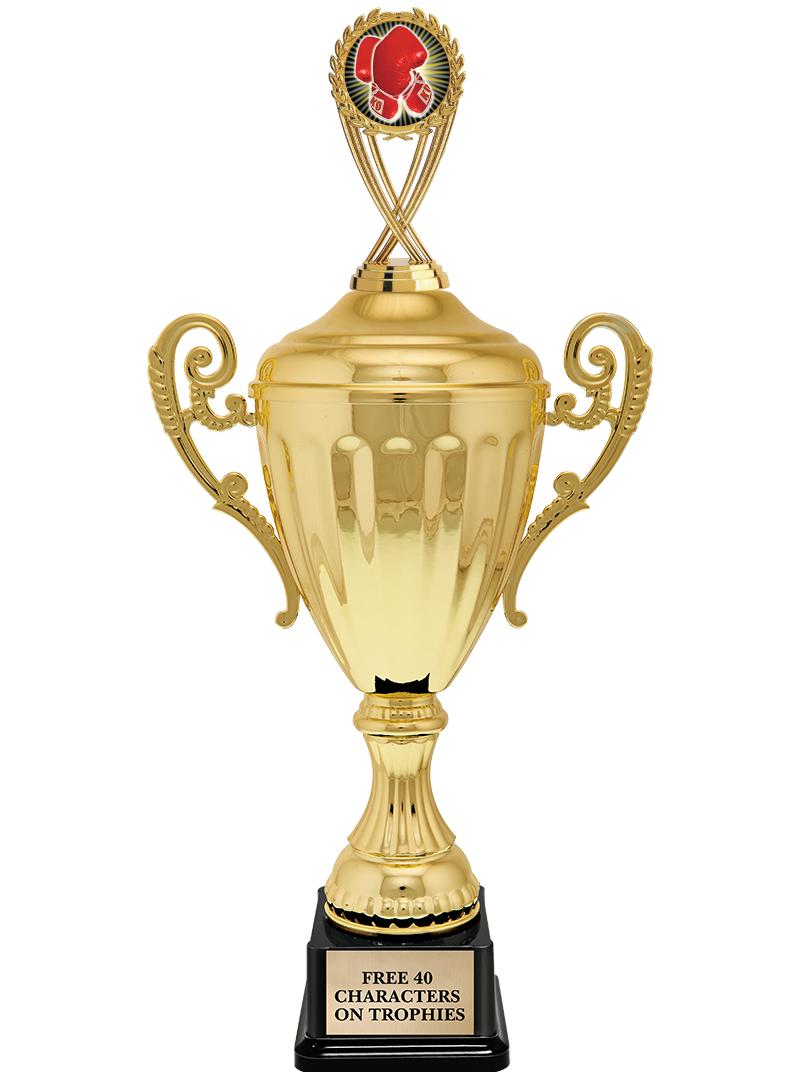 15.43" GD ACCLDE CUP TRP W FIG