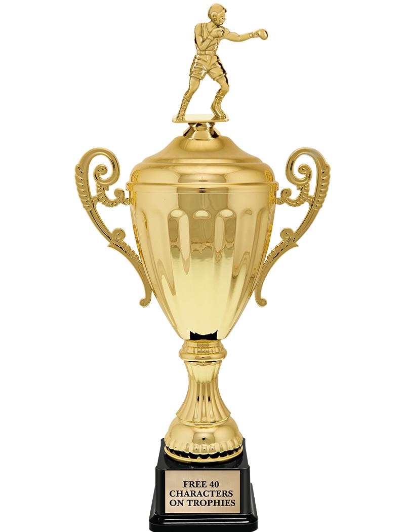 15.43" GD ACCLDE CUP TRP W FIG