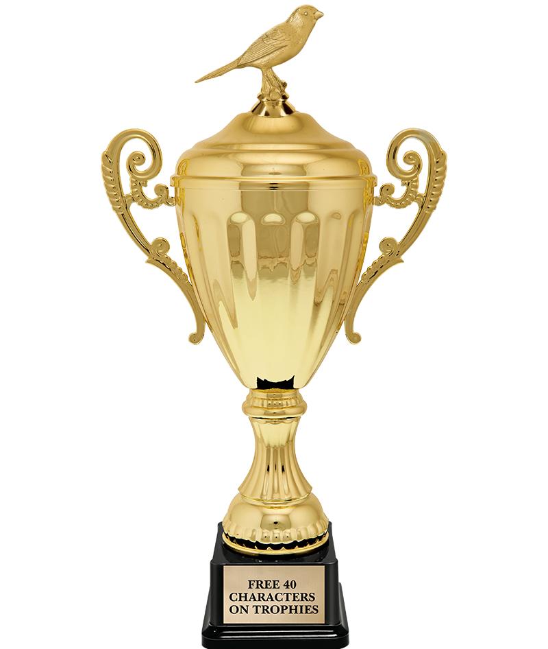 15.43" GD ACCLDE CUP TRP W FIG