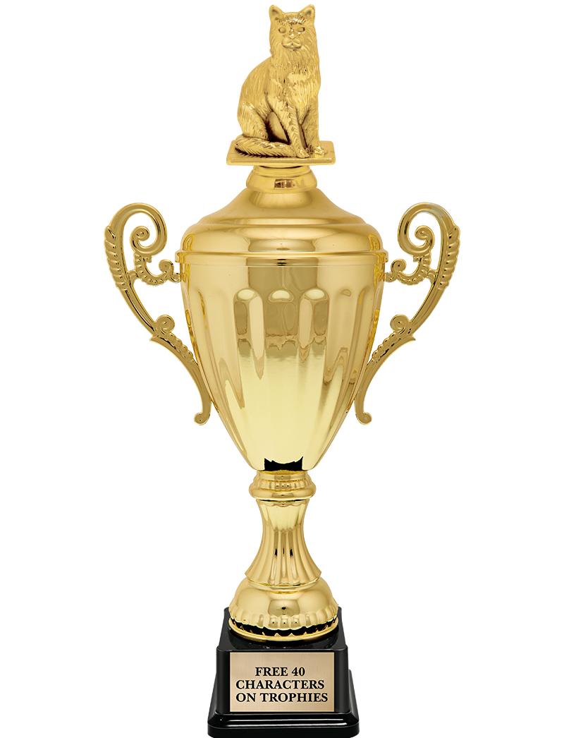 15.43" GD ACCLDE CUP TRP W FIG