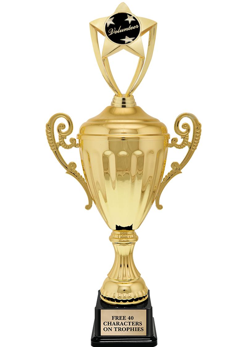 15.43" GD ACCLDE CUP TRP W FIG