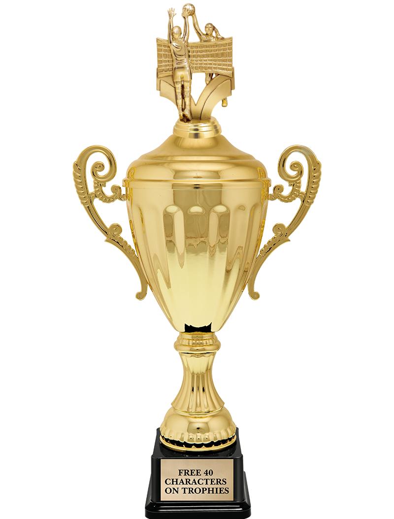 15.43" GD ACCLDE CUP TRP W FIG