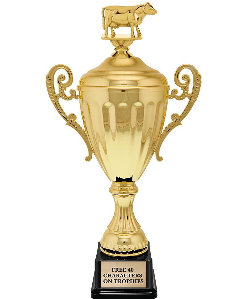 15.43" GD ACCLDE CUP TRP W FIG