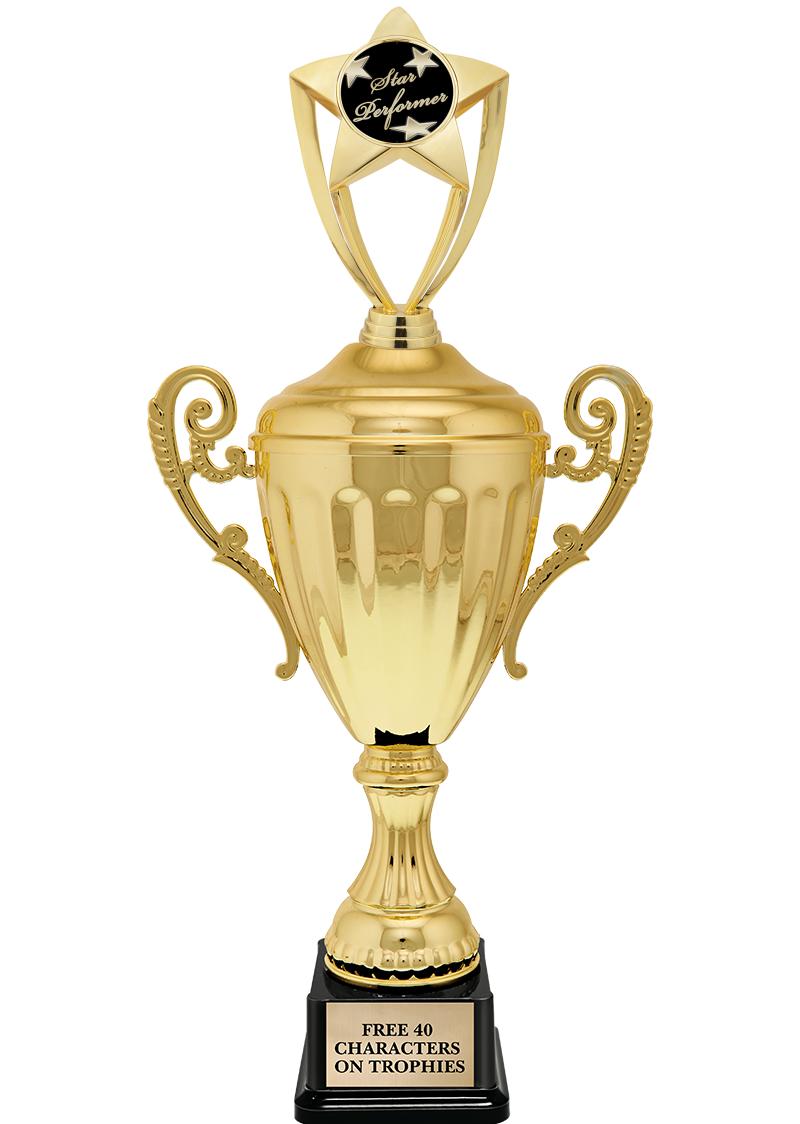 15.43" GD ACCLDE CUP TRP W FIG