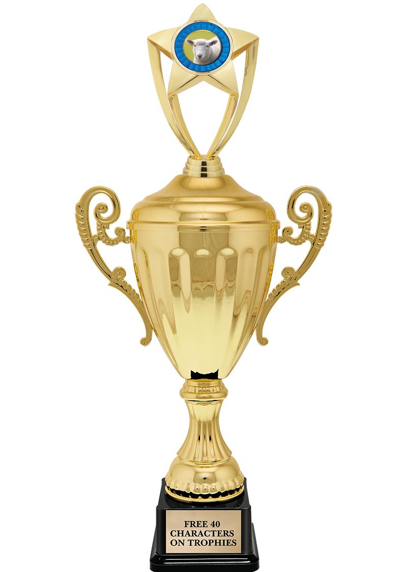 15.43" GD ACCLDE CUP TRP W FIG