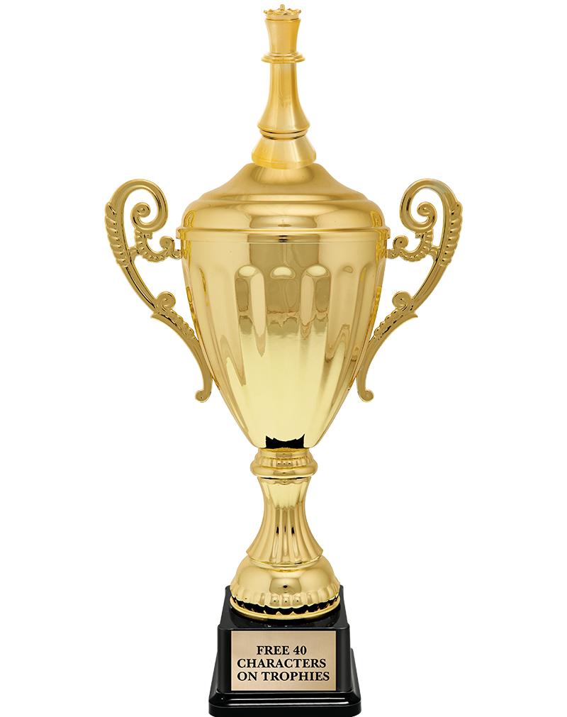 15.43" GD ACCLDE CUP TRP W FIG