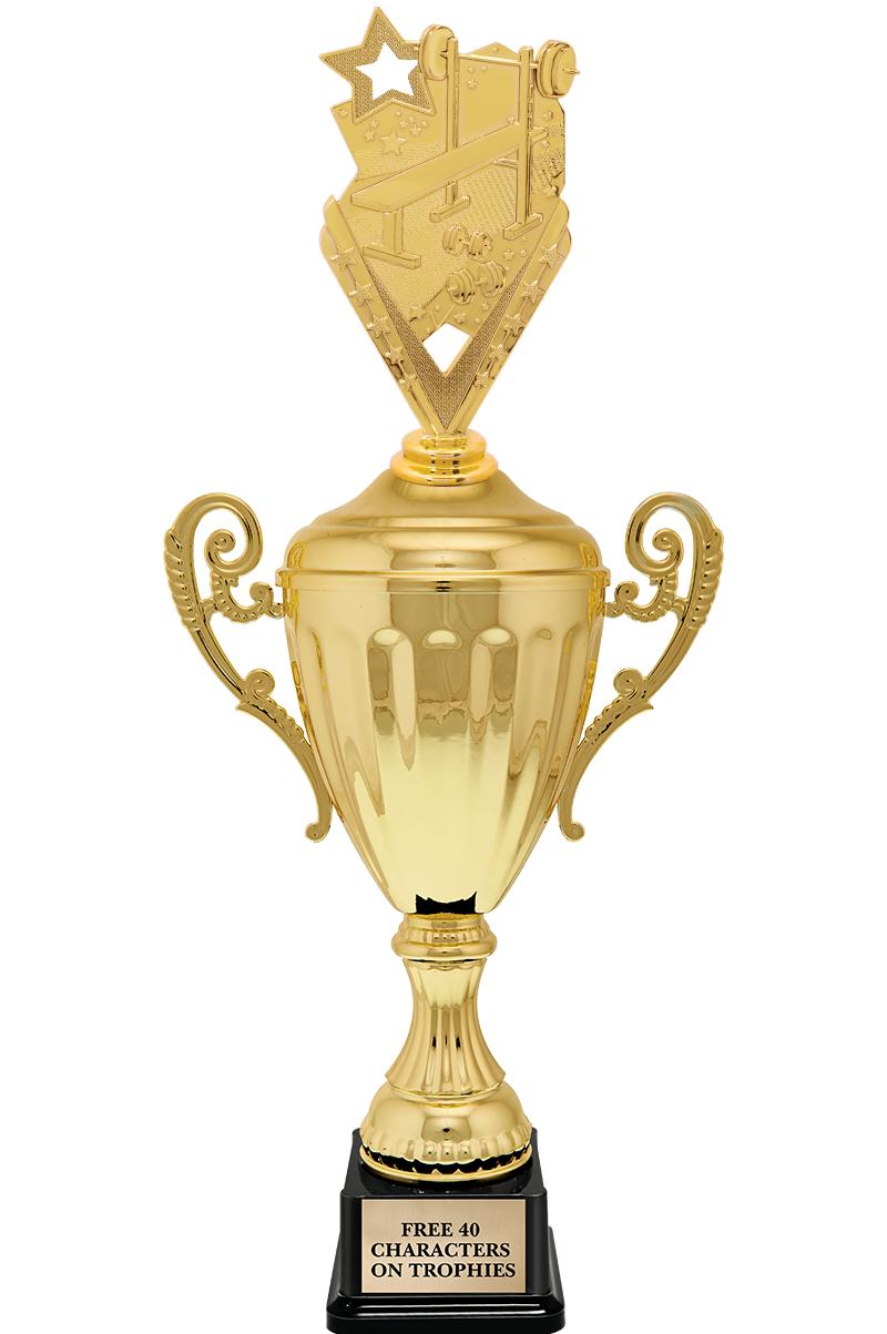 15.43" GD ACCLDE CUP TRP W FIG