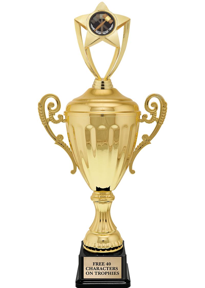 15.43" GD ACCLDE CUP TRP W FIG